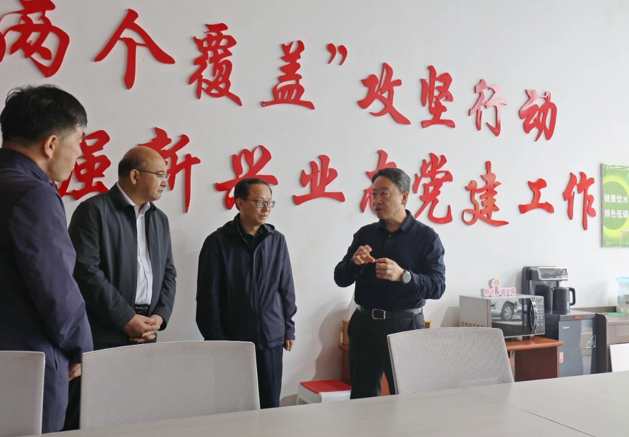 卢小亨在调研“五区”基层党建工作时强..