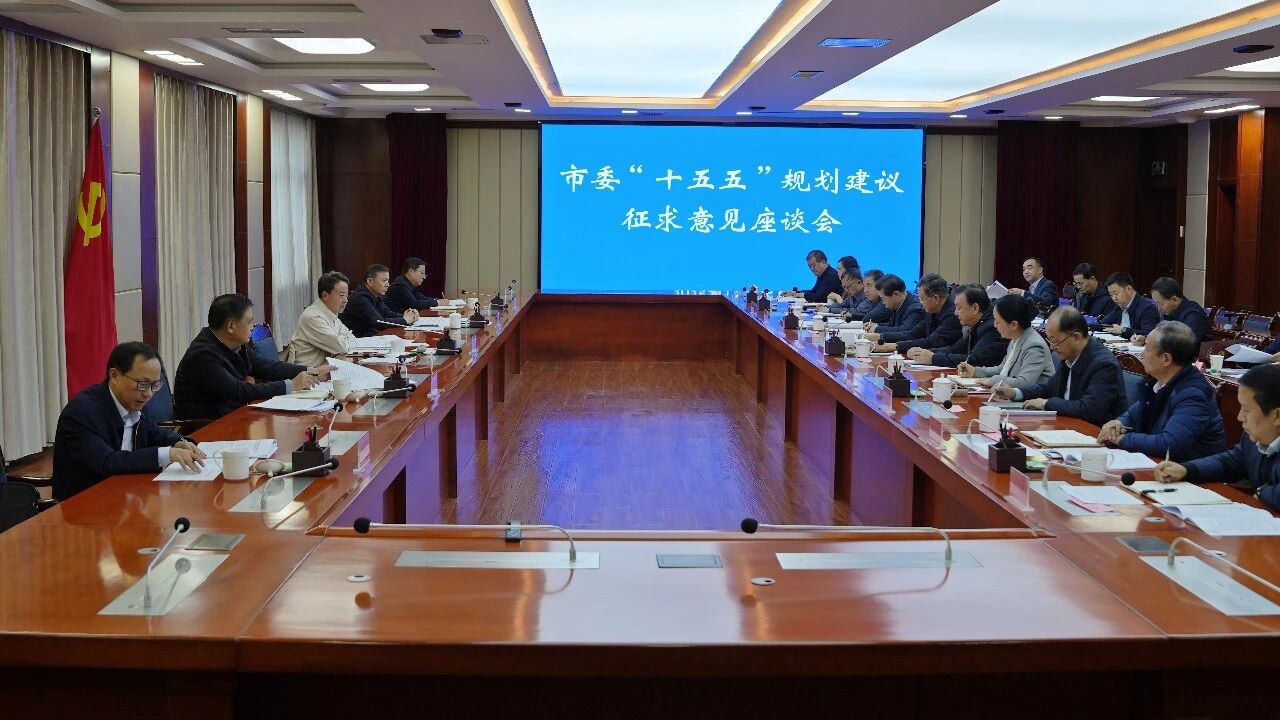 市委召开“十五五”规划建议征求意见座..