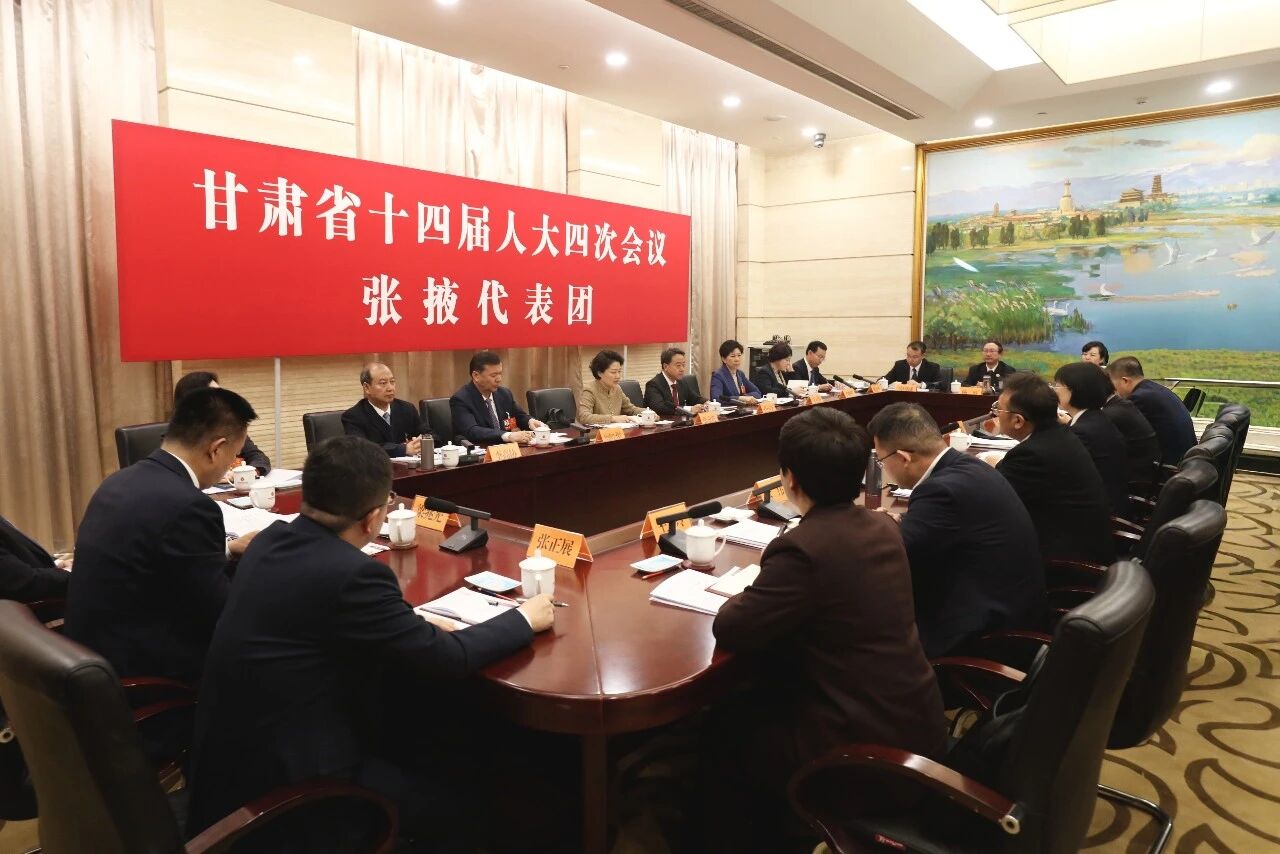 叶尔波力·孜汗在审议省政府工作报告时..