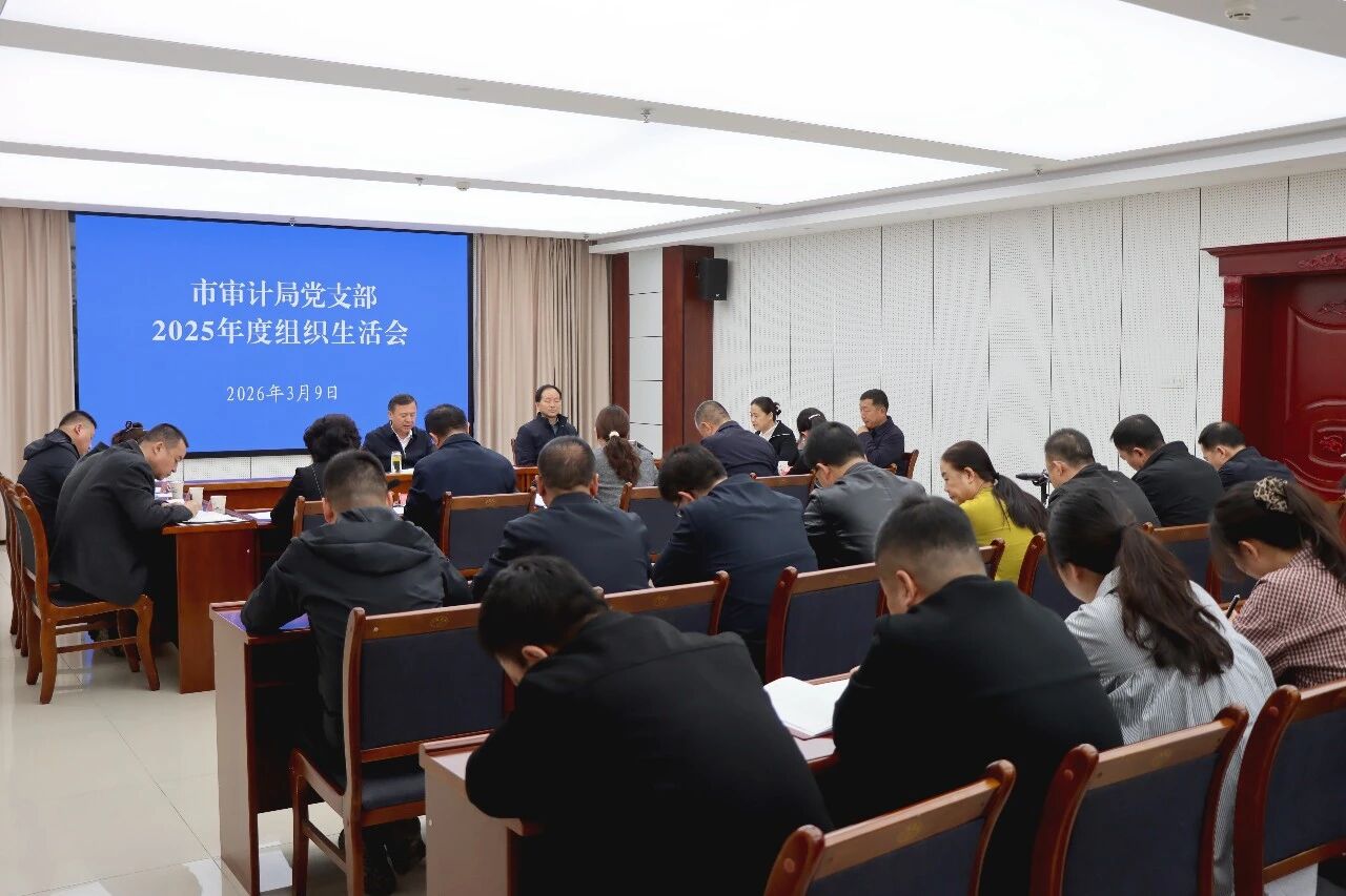 叶尔波力·孜汗在指导市审计局党支部2..