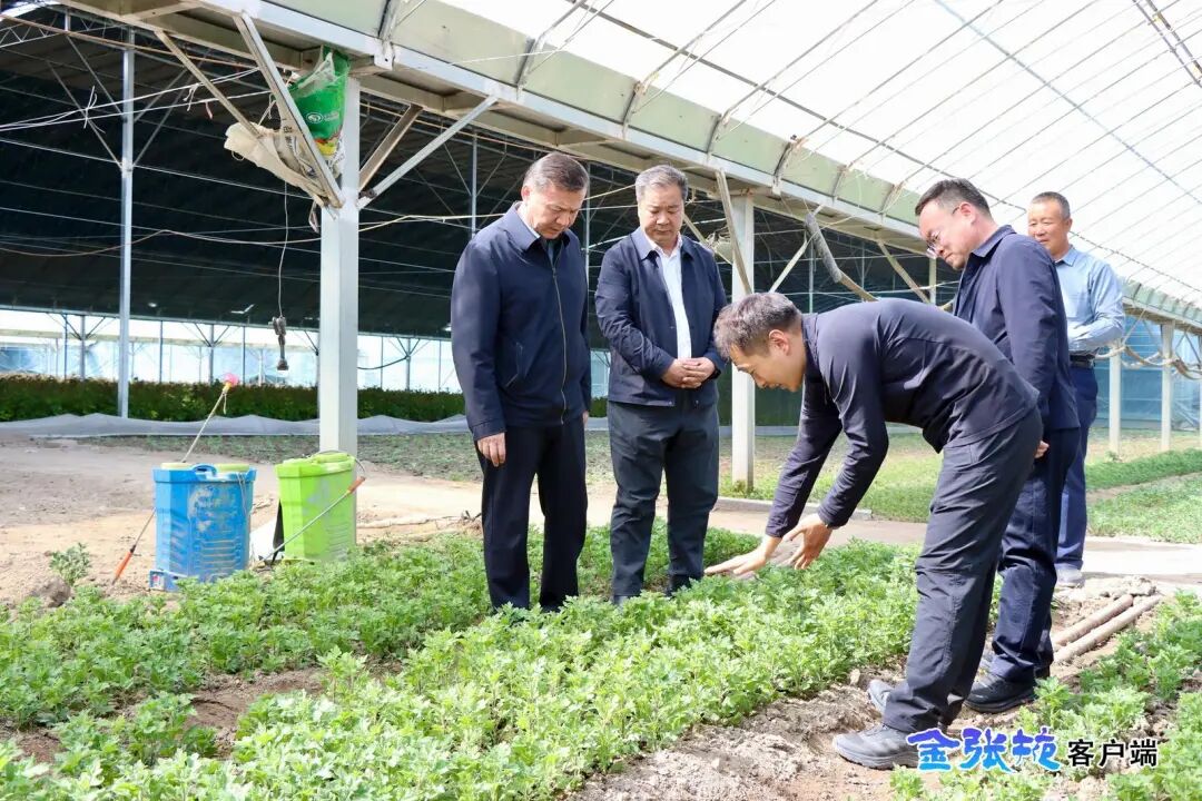 叶尔波力·孜汗调研督导中央巡视反馈问..