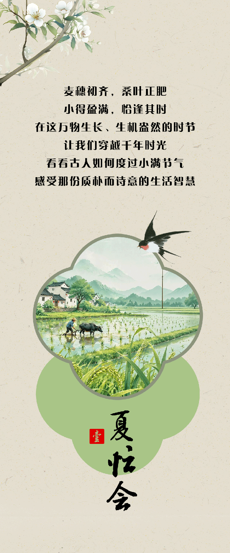小满长图_02(1).gif